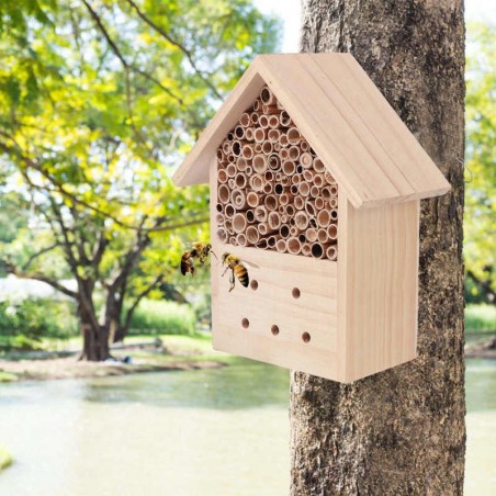 Mini abri en bois de pin pour abeille